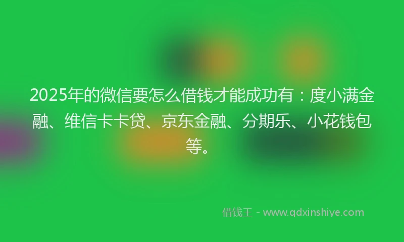 2025年的微信要怎么借钱才能成功有：度小满金融、维信卡卡贷、京东金融、分期乐、小花钱包等。