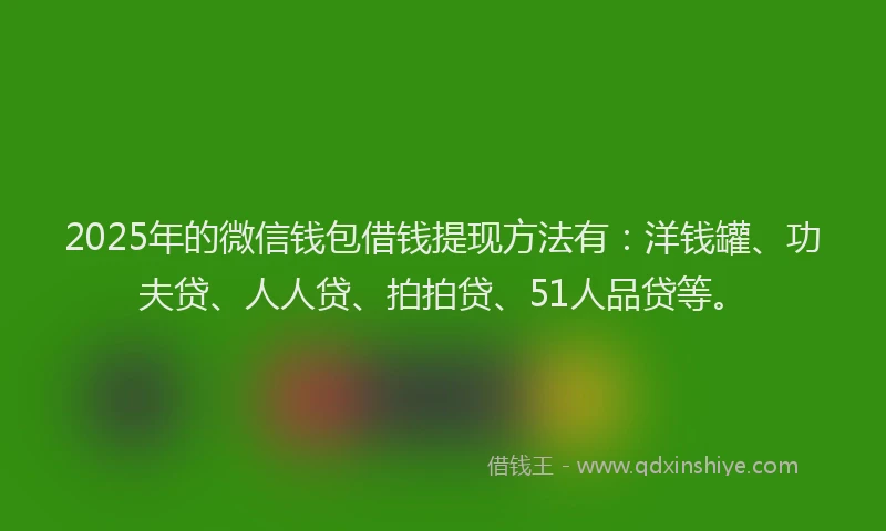 2025年的微信钱包借钱提现方法有：洋钱罐、功夫贷、人人贷、拍拍贷、51人品贷等。