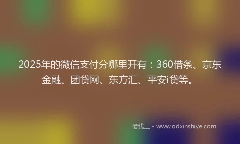 2025年的微信支付分哪里开有：360借条、京东金融、团贷网、东方汇、平安i贷等。