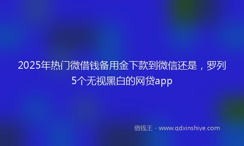 2025年热门微借钱备用金下款到微信还是，罗列5个无视黑白的网贷app