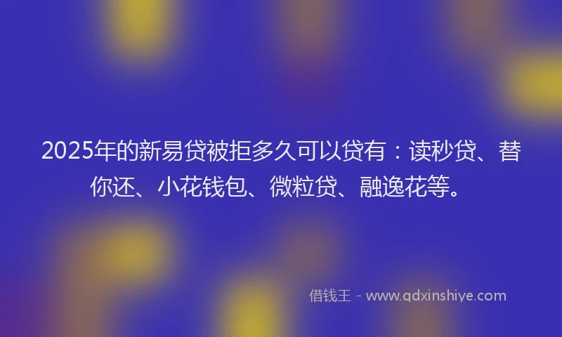 2025年的新易贷被拒多久可以贷有：读秒贷、替你还、小花钱包、微粒贷、融逸花等。