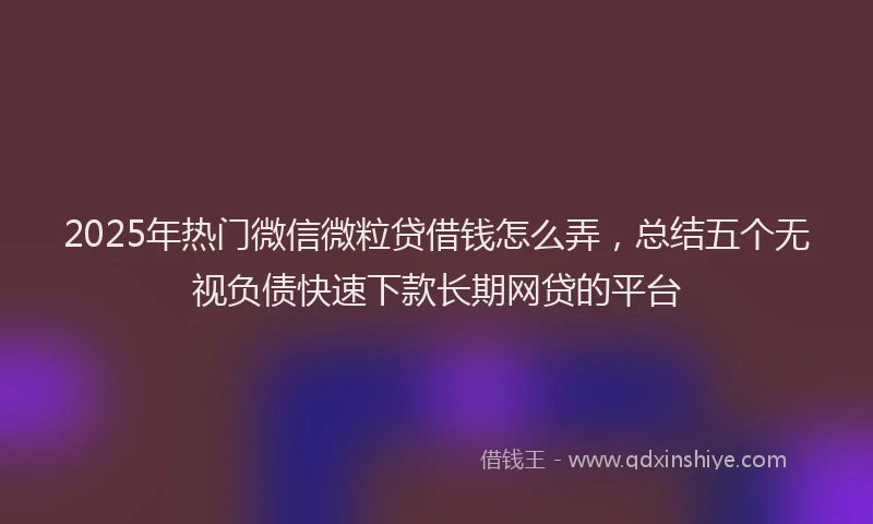 2025年热门微信微粒贷借钱怎么弄，总结五个无视负债快速下款长期网贷的平台