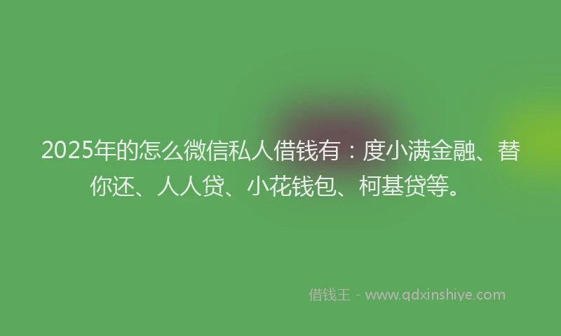 2025年的怎么微信私人借钱有：度小满金融、替你还、人人贷、小花钱包、柯基贷等。