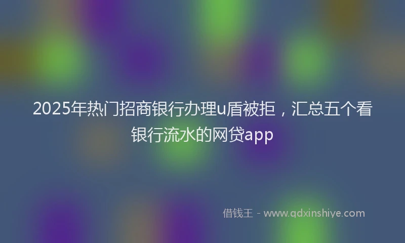 2025年热门招商银行办理u盾被拒，汇总五个看银行流水的网贷app