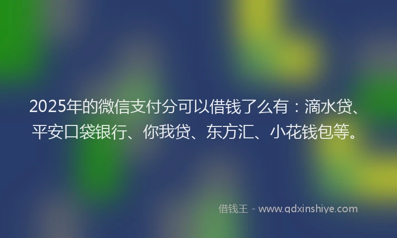 2025年的微信支付分可以借钱了么有：滴水贷、平安口袋银行、你我贷、东方汇、小花钱包等。