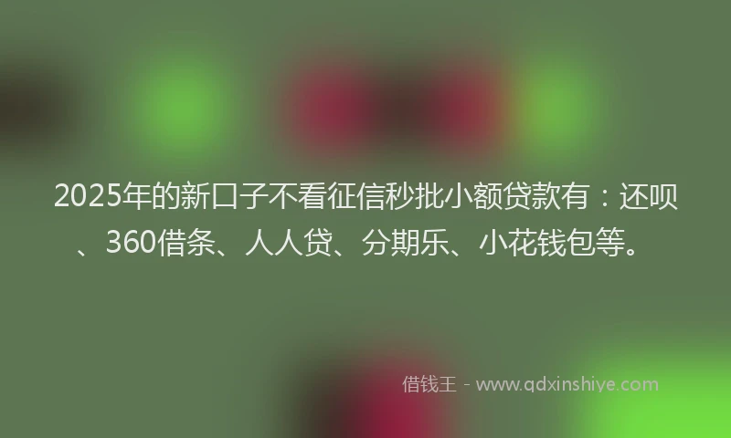 2025年的新口子不看征信秒批小额贷款有：还呗、360借条、人人贷、分期乐、小花钱包等。