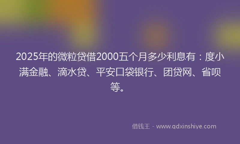 2025年的微粒贷借2000五个月多少利息有：度小满金融、滴水贷、平安口袋银行、团贷网、省呗等。