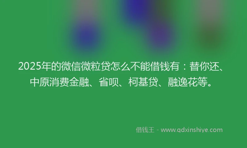 2025年的微信微粒贷怎么不能借钱有：替你还、中原消费金融、省呗、柯基贷、融逸花等。