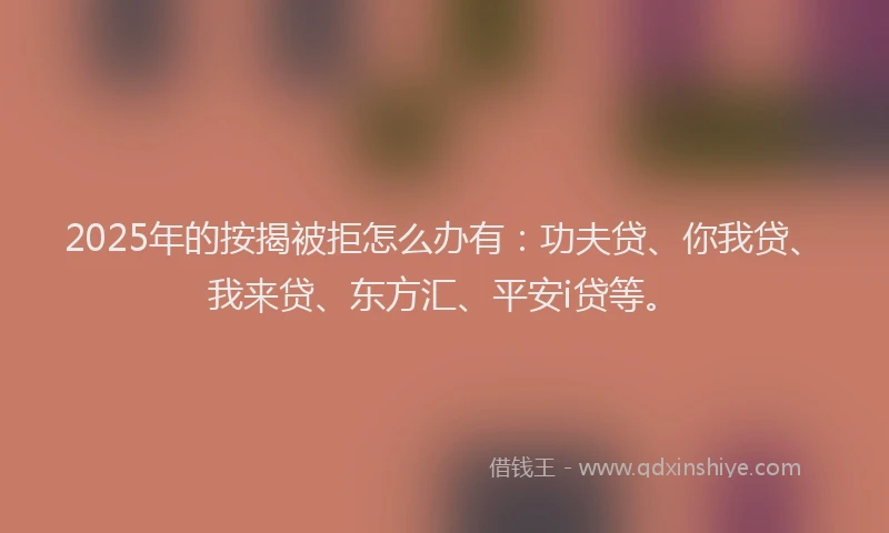 2025年的按揭被拒怎么办有：功夫贷、你我贷、我来贷、东方汇、平安i贷等。