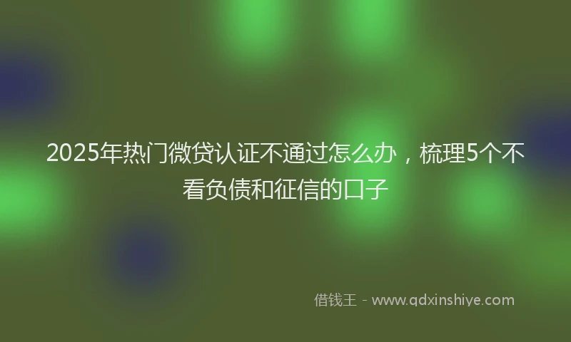 2025年热门微贷认证不通过怎么办，梳理5个不看负债和征信的口子