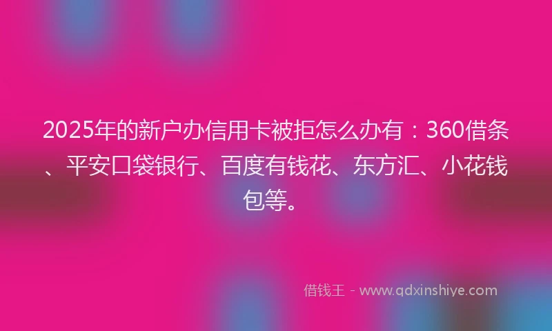 2025年的新户办信用卡被拒怎么办有：360借条、平安口袋银行、百度有钱花、东方汇、小花钱包等。
