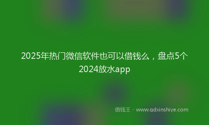 2025年热门微信软件也可以借钱么，盘点5个2024放水app