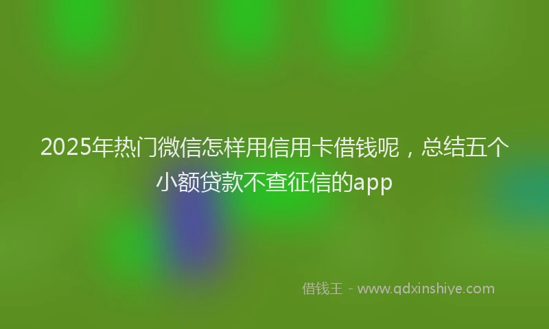 2025年热门微信怎样用信用卡借钱呢，总结五个小额贷款不查征信的app