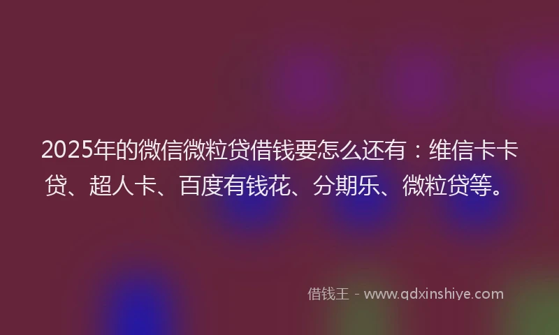 2025年的微信微粒贷借钱要怎么还有：维信卡卡贷、超人卡、百度有钱花、分期乐、微粒贷等。