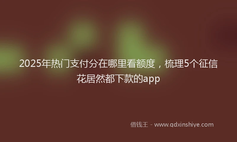 2025年热门支付分在哪里看额度，梳理5个征信花居然都下款的app