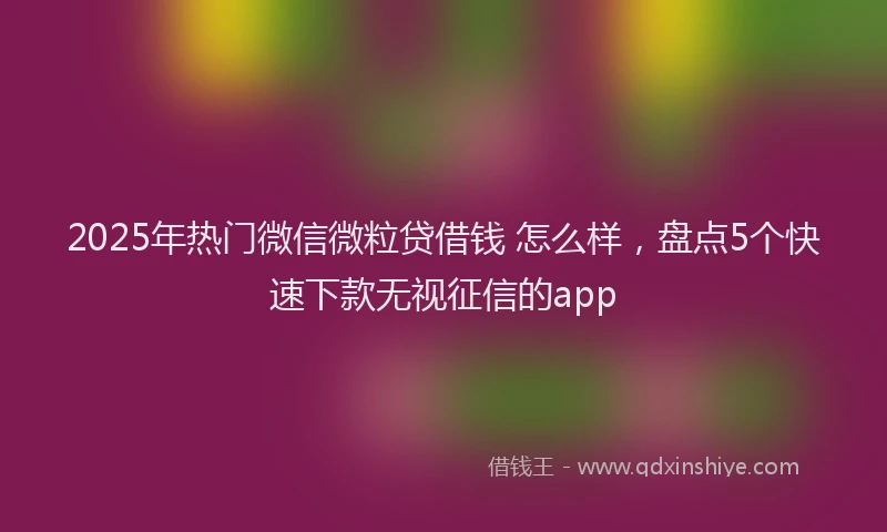 2025年热门微信微粒贷借钱 怎么样，盘点5个快速下款无视征信的app