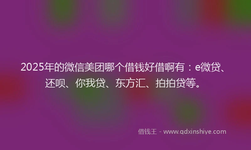 2025年的微信美团哪个借钱好借啊有：e微贷、还呗、你我贷、东方汇、拍拍贷等。