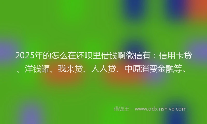 2025年的怎么在还呗里借钱啊微信有：信用卡贷、洋钱罐、我来贷、人人贷、中原消费金融等。