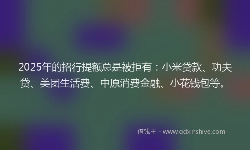 2025年的招行提额总是被拒有：小米贷款、功夫贷、美团生活费、中原消费金融、小花钱包等。