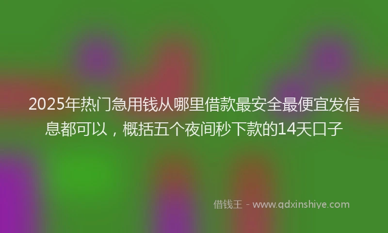 2025年热门急用钱从哪里借款最安全最便宜发信息都可以，概括五个夜间秒下款的14天口子