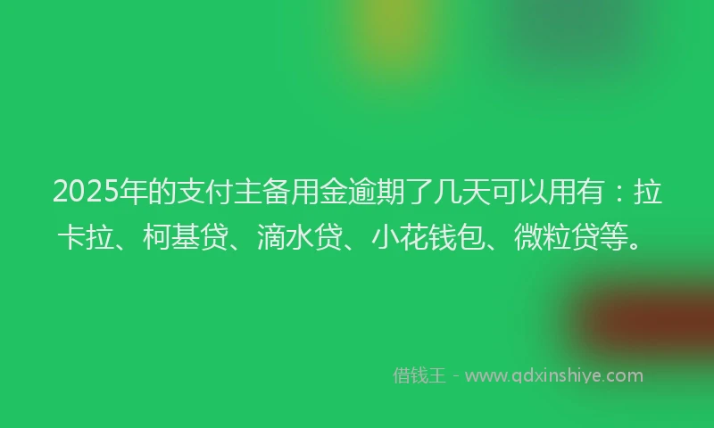 2025年的支付主备用金逾期了几天可以用有：拉卡拉、柯基贷、滴水贷、小花钱包、微粒贷等。