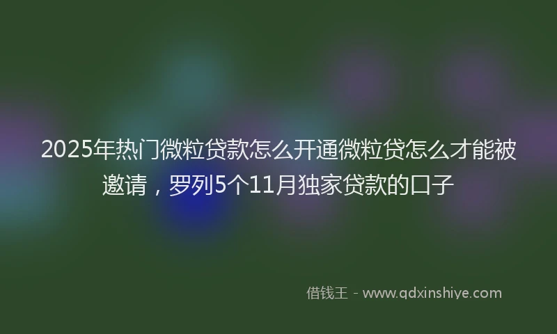 2025年热门微粒贷款怎么开通微粒贷怎么才能被邀请，罗列5个11月独家贷款的口子