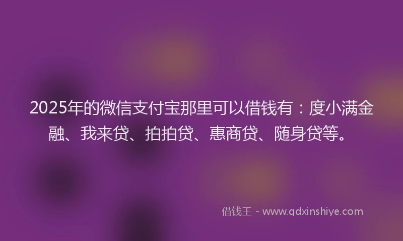 2025年的微信支付宝那里可以借钱有：度小满金融、我来贷、拍拍贷、惠商贷、随身贷等。
