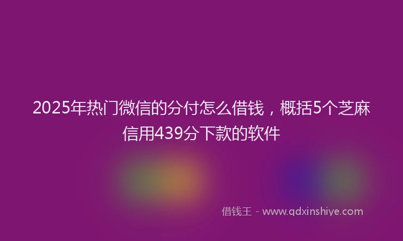 2025年热门微信的分付怎么借钱，概括5个芝麻信用439分下款的软件