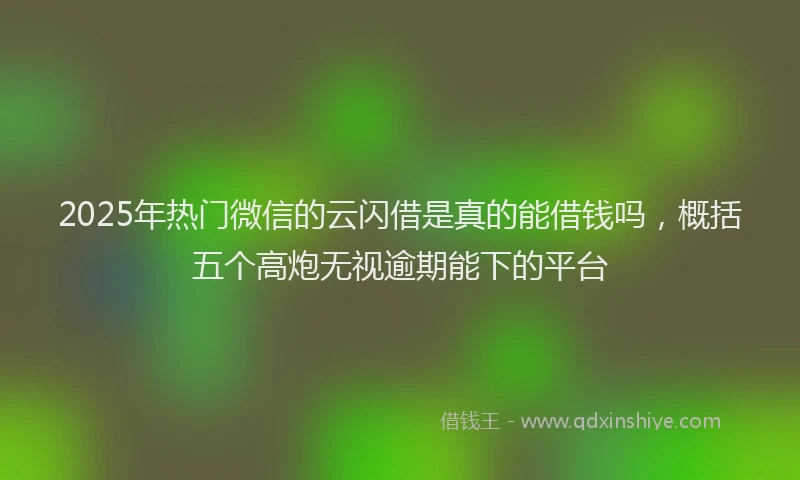 2025年热门微信的云闪借是真的能借钱吗，概括五个高炮无视逾期能下的平台