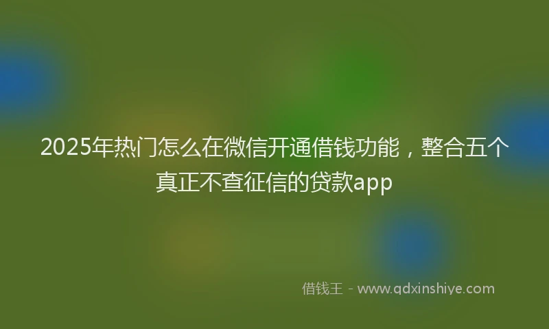 2025年热门怎么在微信开通借钱功能，整合五个真正不查征信的贷款app