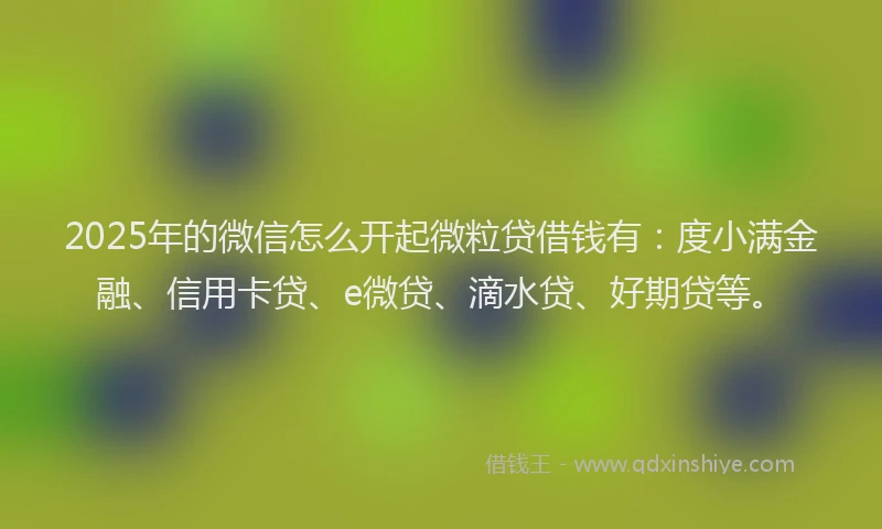 2025年的微信怎么开起微粒贷借钱有：度小满金融、信用卡贷、e微贷、滴水贷、好期贷等。