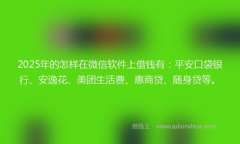 2025年的怎样在微信软件上借钱有：平安口袋银行、安逸花、美团生活费、惠商贷、随身贷等。