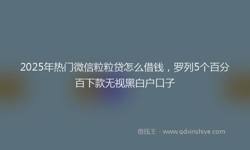 2025年热门微信粒粒贷怎么借钱，罗列5个百分百下款无视黑白户口子