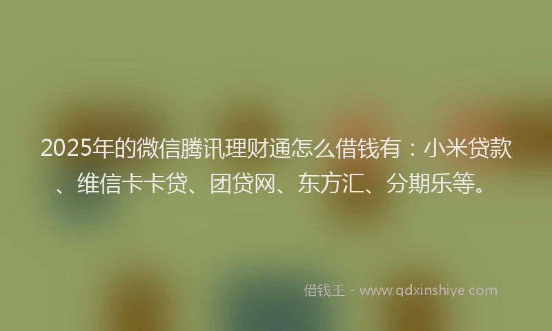 2025年的微信腾讯理财通怎么借钱有：小米贷款、维信卡卡贷、团贷网、东方汇、分期乐等。