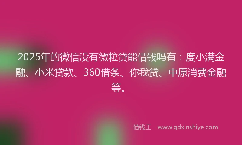 2025年的微信没有微粒贷能借钱吗有：度小满金融、小米贷款、360借条、你我贷、中原消费金融等。