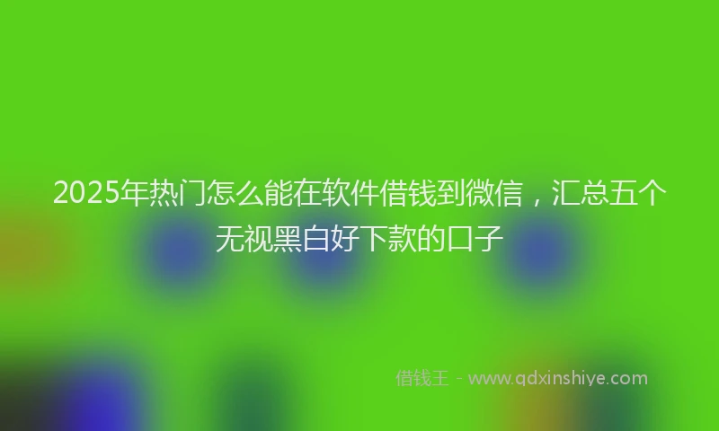 2025年热门怎么能在软件借钱到微信，汇总五个无视黑白好下款的口子