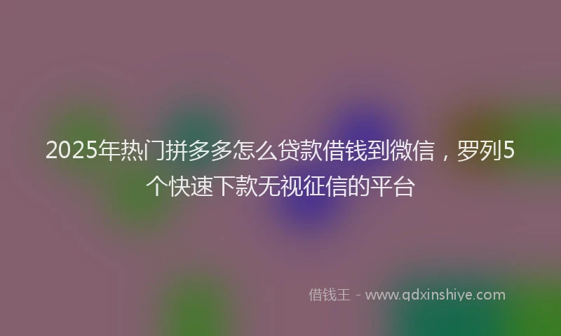 2025年热门拼多多怎么贷款借钱到微信，罗列5个快速下款无视征信的平台