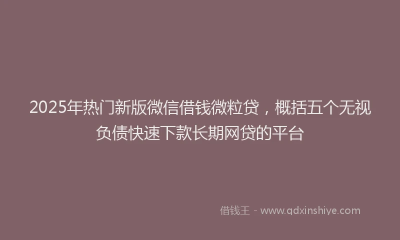 2025年热门新版微信借钱微粒贷，概括五个无视负债快速下款长期网贷的平台