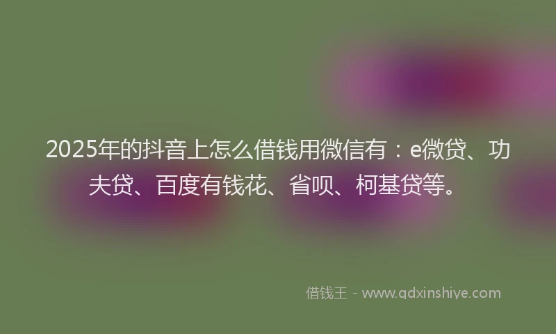 2025年的抖音上怎么借钱用微信有：e微贷、功夫贷、百度有钱花、省呗、柯基贷等。