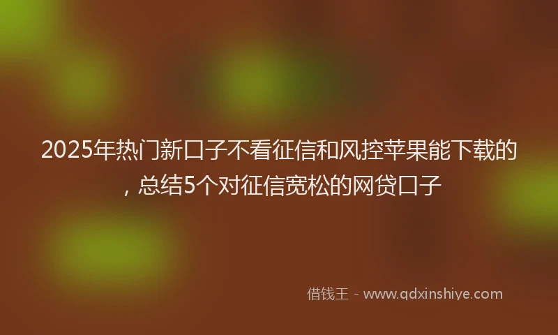 2025年热门新口子不看征信和风控苹果能下载的，总结5个对征信宽松的网贷口子