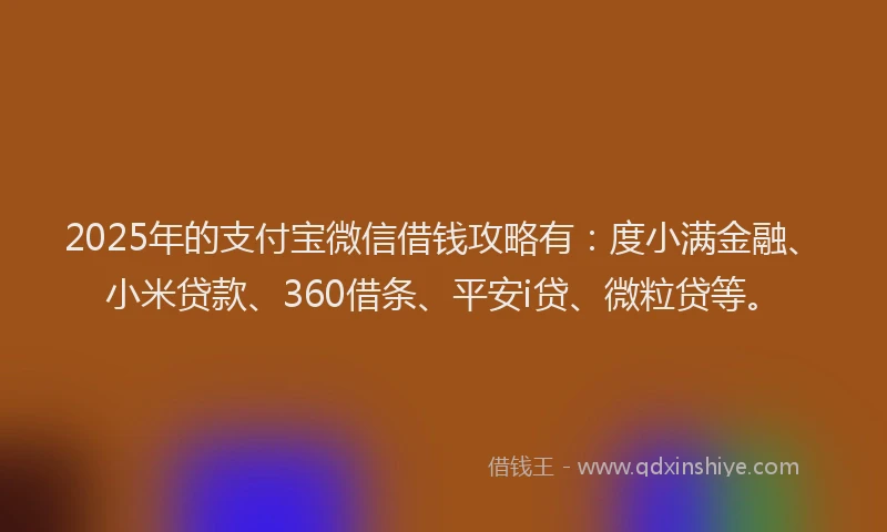 2025年的支付宝微信借钱攻略有：度小满金融、小米贷款、360借条、平安i贷、微粒贷等。