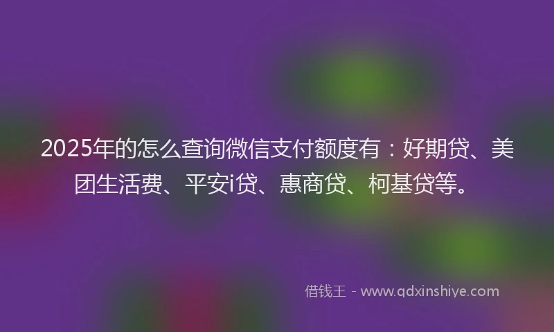 2025年的怎么查询微信支付额度有：好期贷、美团生活费、平安i贷、惠商贷、柯基贷等。