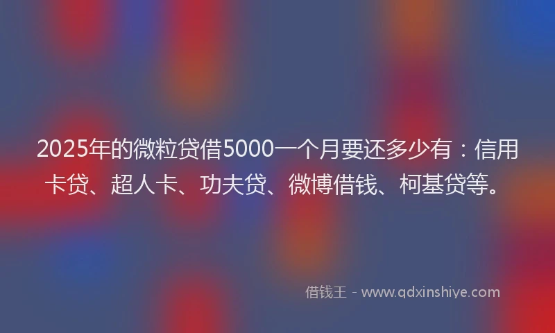 2025年的微粒贷借5000一个月要还多少有：信用卡贷、超人卡、功夫贷、微博借钱、柯基贷等。