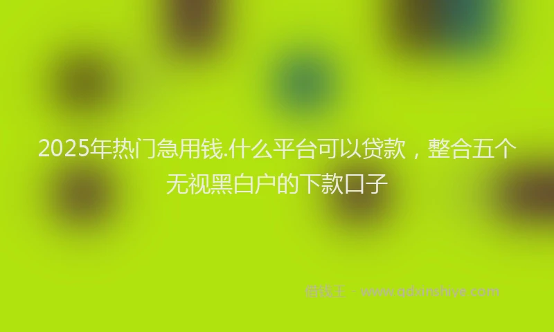 2025年热门急用钱.什么平台可以贷款，整合五个无视黑白户的下款口子