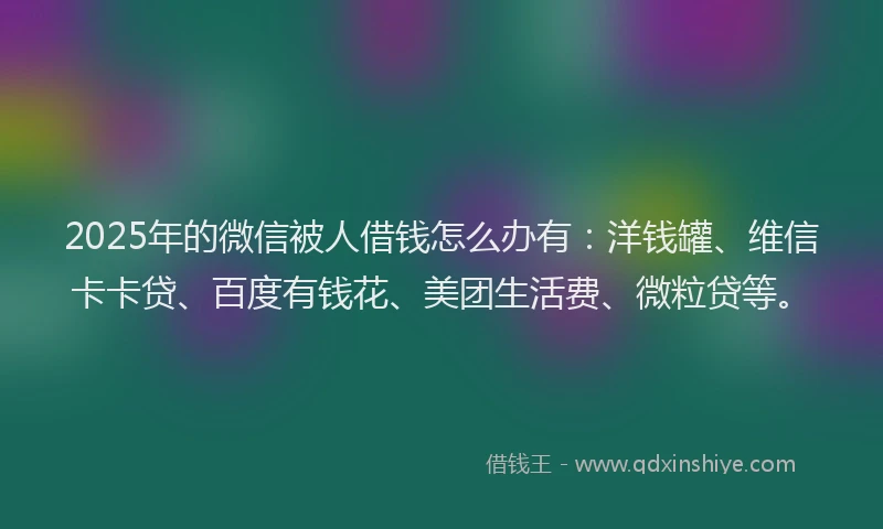 2025年的微信被人借钱怎么办有：洋钱罐、维信卡卡贷、百度有钱花、美团生活费、微粒贷等。