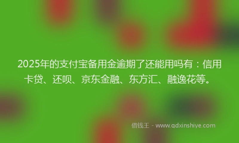 2025年的支付宝备用金逾期了还能用吗有：信用卡贷、还呗、京东金融、东方汇、融逸花等。