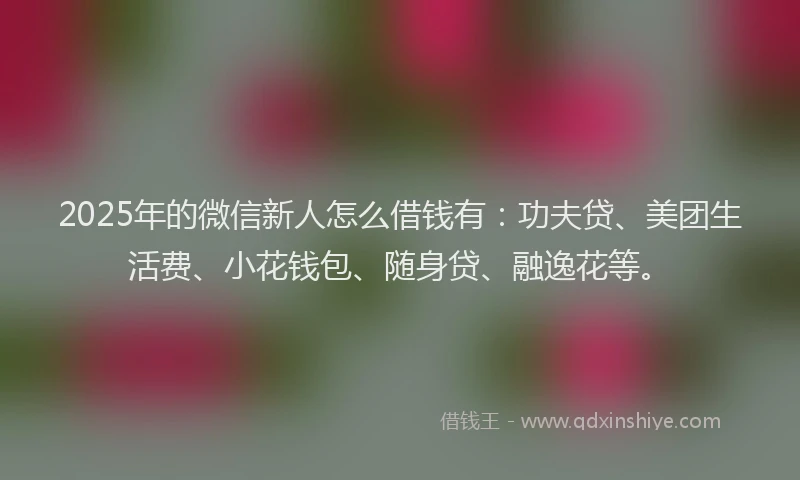 2025年的微信新人怎么借钱有：功夫贷、美团生活费、小花钱包、随身贷、融逸花等。