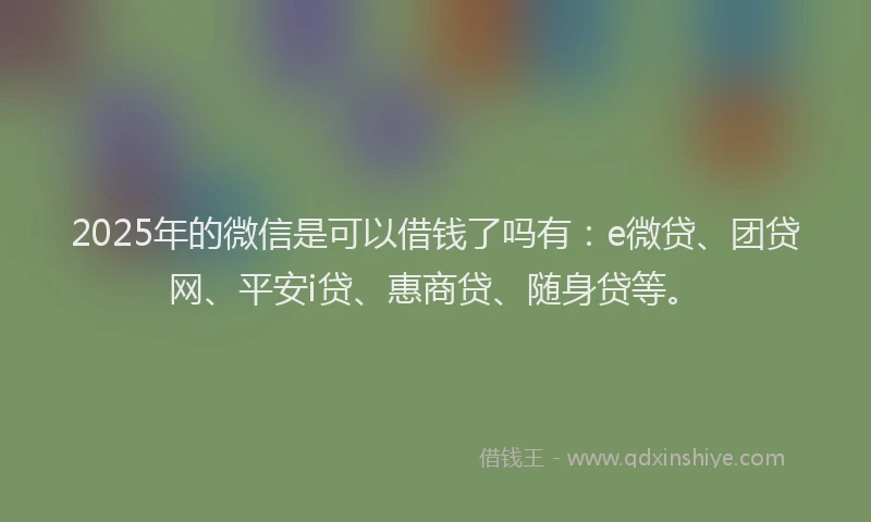 2025年的微信是可以借钱了吗有：e微贷、团贷网、平安i贷、惠商贷、随身贷等。