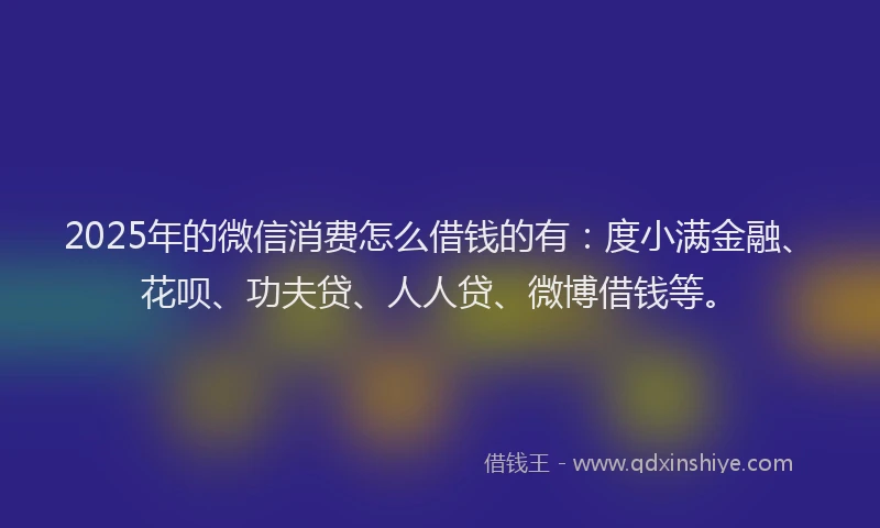 2025年的微信消费怎么借钱的有：度小满金融、花呗、功夫贷、人人贷、微博借钱等。