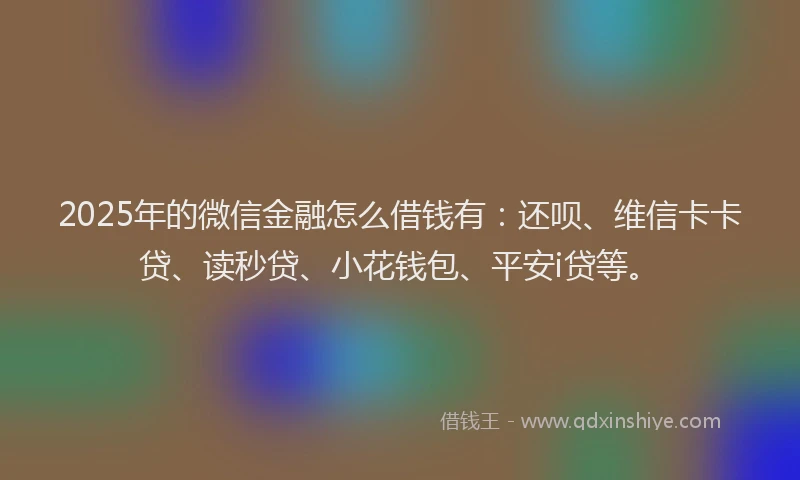 2025年的微信金融怎么借钱有：还呗、维信卡卡贷、读秒贷、小花钱包、平安i贷等。